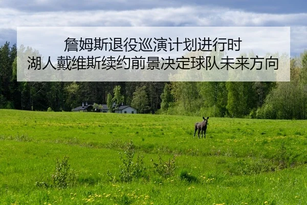 詹姆斯退役巡演计划进行时 湖人戴维斯续约前景决定球队未来方向